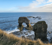Coastal Walk with Lunch
