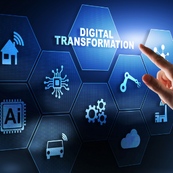 Digital Transformation Insight Groups