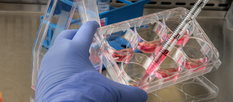 CellulaREvolution Raises £1m to Further Accelerate Development of Lab Grown Cells